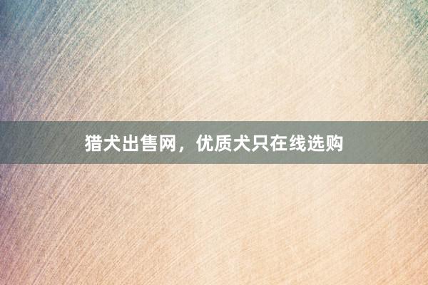 猎犬出售网，优质犬只在线选购